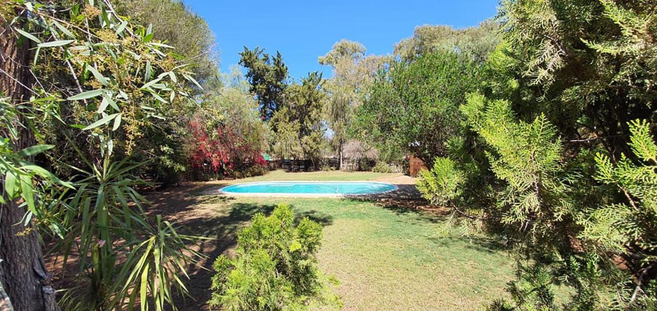 Welgeluk Feather Palace Oudtshoorn Zewnętrze zdjęcie